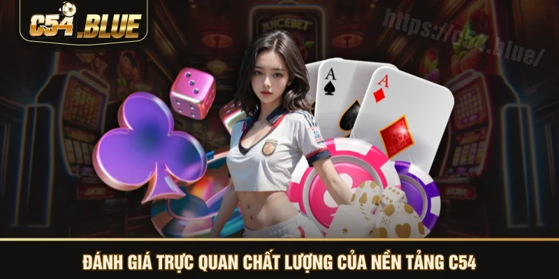 Đánh giá trực quan chất lượng của nền tảng C54 Đánh giá trực quan chất lượng của nền tảng C54