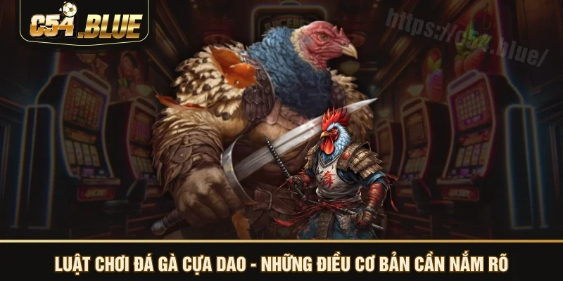 Luật chơi đá gà cựa dao - những điều cơ bản cần nắm rõ Luật chơi đá gà cựa dao - những điều cơ bản cần nắm rõ
