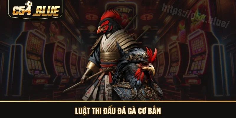 Luật thi đấu đá gà cơ bản Luật thi đấu đá gà cơ bản