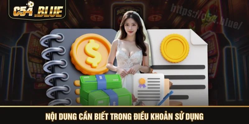 Nội dung cần biết trong điều khoản sử dụng Nội dung cần biết trong điều khoản sử dụng