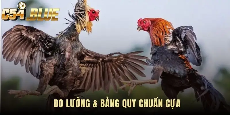 Đo lường Gà spur length cung cấp bảng quy chuẩn độc quyền từ C54