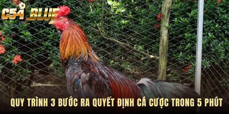 Recovery time analysis giúp ra quyết định cược trong 3 bước