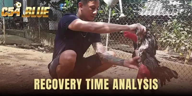 Recovery Time Analysis